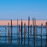 菲彩娱乐的未来趋势:新兴娱乐项目与市场发展分析 22h396x