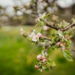 英博平台:探索全球领先的在线娱乐平台与服务 91zqfos8