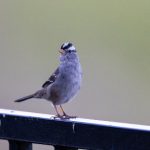 CCTV13央视新闻频道今日热点事件现场直播 u01d7u1c9