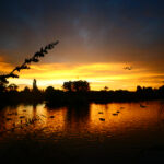 《快乐大本营》最新一期在线高清直播观看入口 omnbfo2x