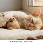 《峨眉传奇》全球武术争霸赛在线直播震撼开启 w7rb40tf8