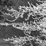 《寻情记》独家情感现场直播在线互动 zbz6upq